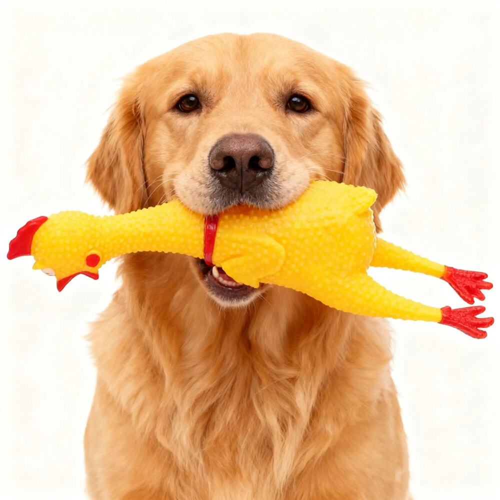 Dog Squeaky Toy Chew Resistant Self-Entertainment Squeak Chicken Pet Sound Toy